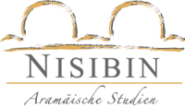 Logo_NISIBIN_PNG